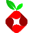 DNS icon